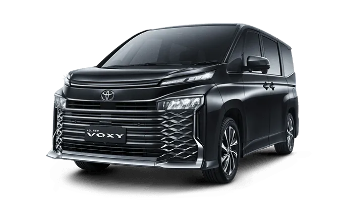 voxy
