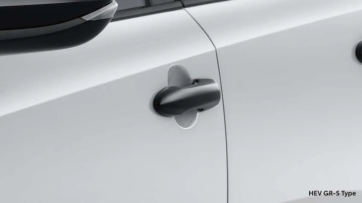 Black Door Outside Handle