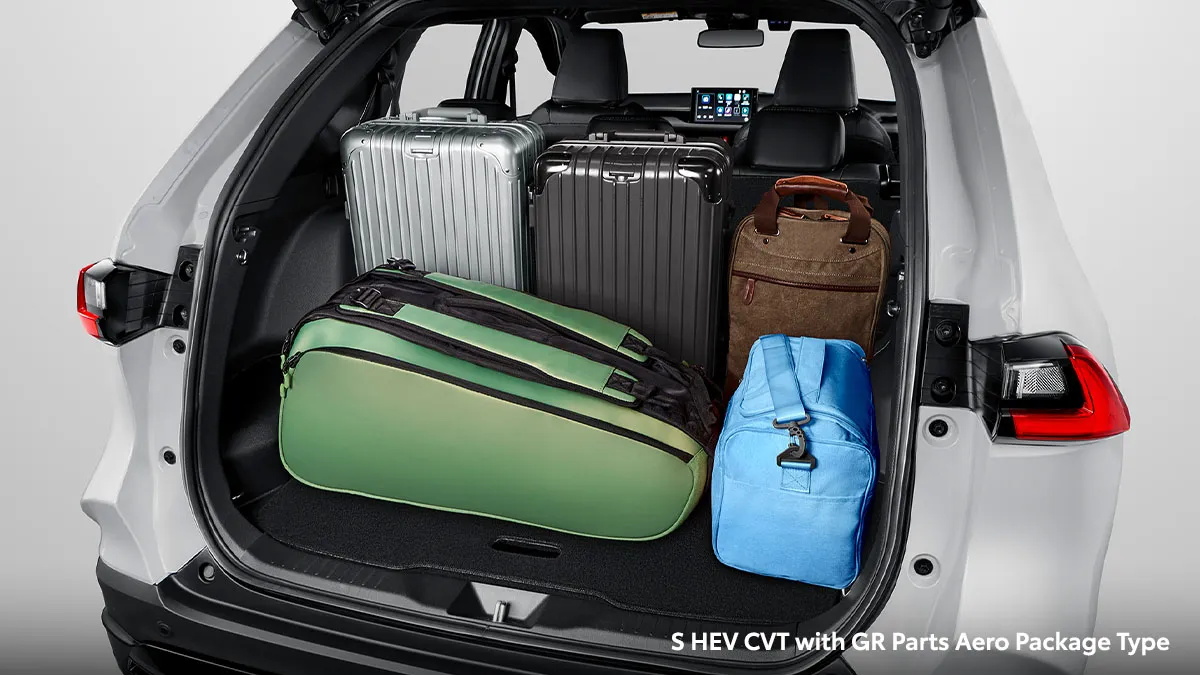Cozy Spacious Luggage (All Type)